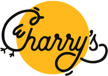website logo